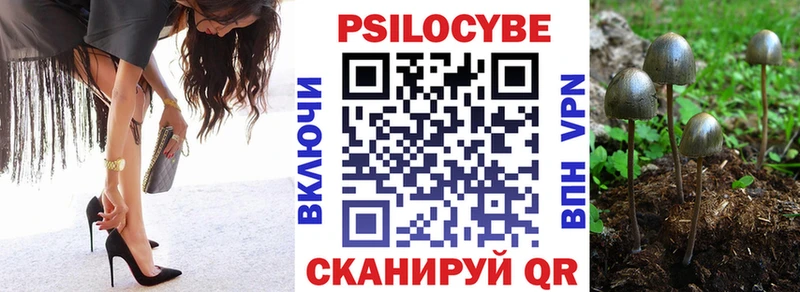 blacksprut зеркало  Губкин  Галлюциногенные грибы MAGIC MUSHROOMS 